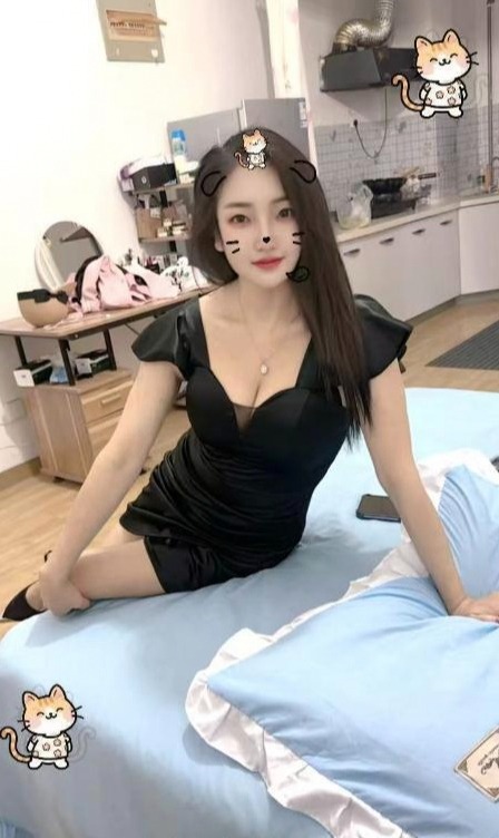 纽波特楼凤一条龙